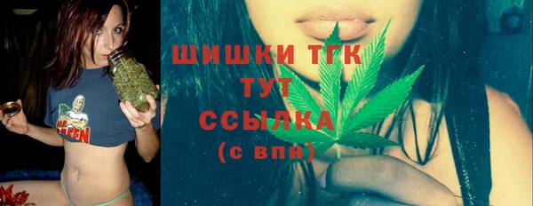 винт Краснослободск