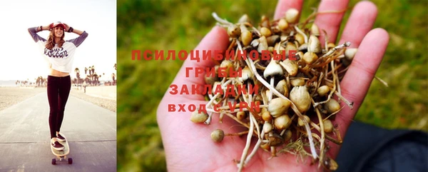 гидра Куйбышев