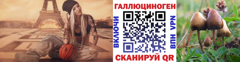 Купить закладки  Еманжелинск  Галлюциногенные грибы Magic Shrooms 