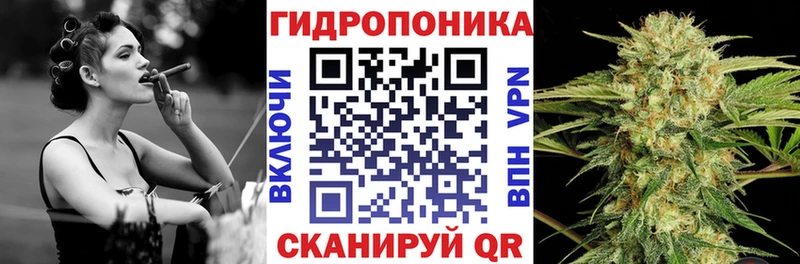 Купить закладки  Еманжелинск  Шишки марихуана Ganja 